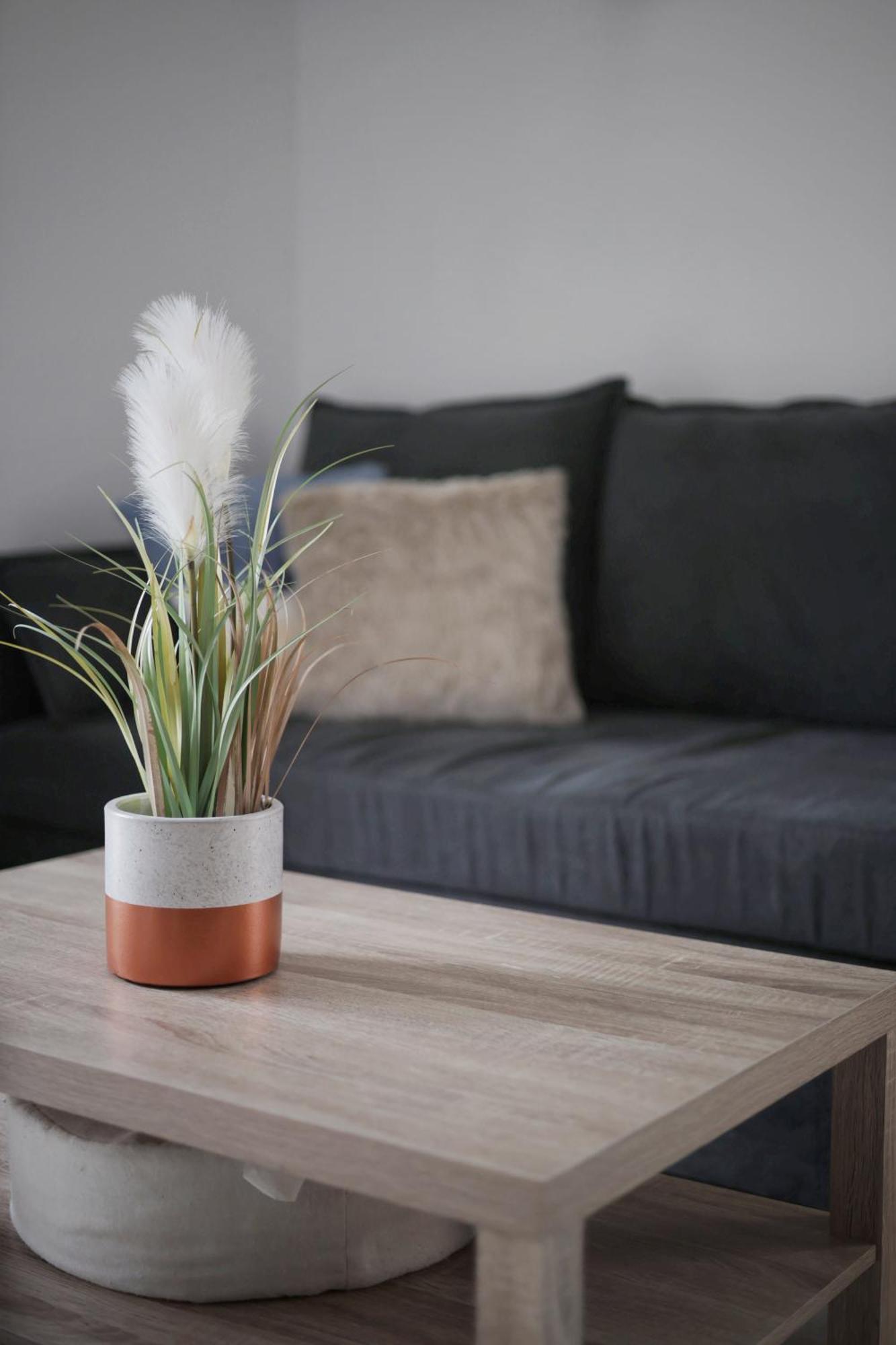 Appartement Familial Avec Jardin Ensoleille Dans La Cite Des Potiers Vallauris Eksteriør bilde